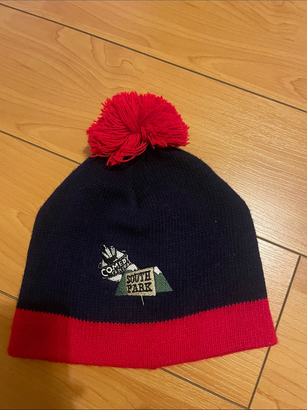 South Park Beanie with Red Pom Pom